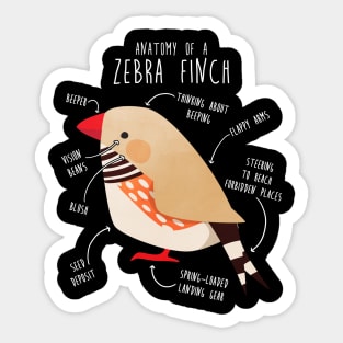 Fawn Zebra Finch Anatomy Sticker